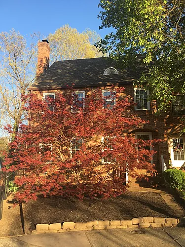 142 Brandywine Ct Photo 1