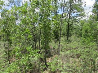 20948 Lake View Rd NW, Altha, FL 32421