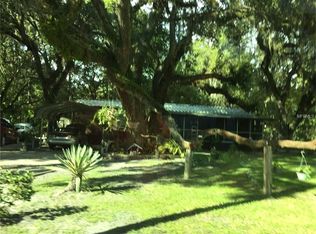 2414 County Road 401a, Lake Panasoffkee, FL 33538