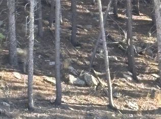 1 Miners Road, Black Hawk, CO 80422