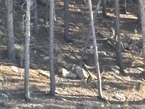 1 Miners Road, Black Hawk, CO 80422