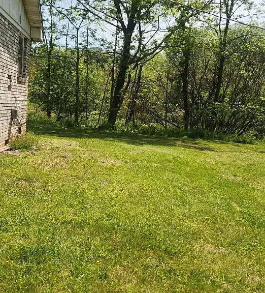 481 Charlie Brown Rd — Photo 9