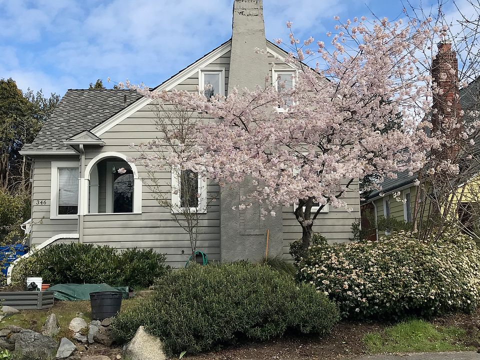 house w cherry blossoms in bloom