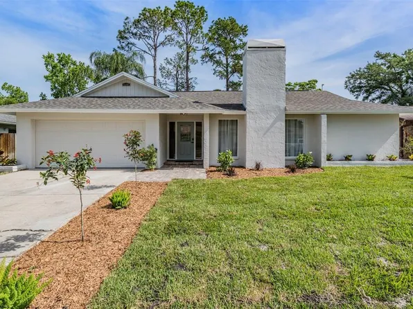 4109 Summerdale Dr, Tampa, FL 33624