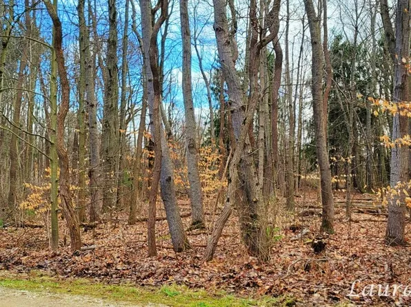 Forest Trl, Fennville, MI 49408