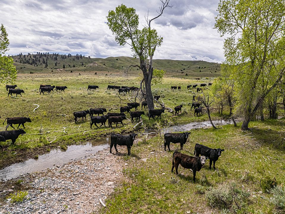 Horseshoe Creek Rd, Glendo, WY 82213 Zillow