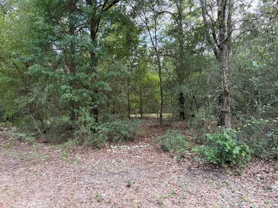 0 Hamilton Cir, Crestview, FL, 32539