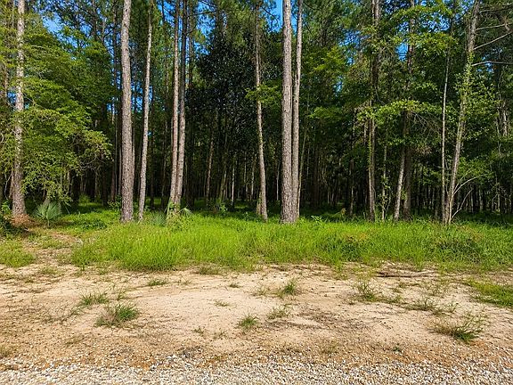 4th image of 25286 Windy Pines Ln