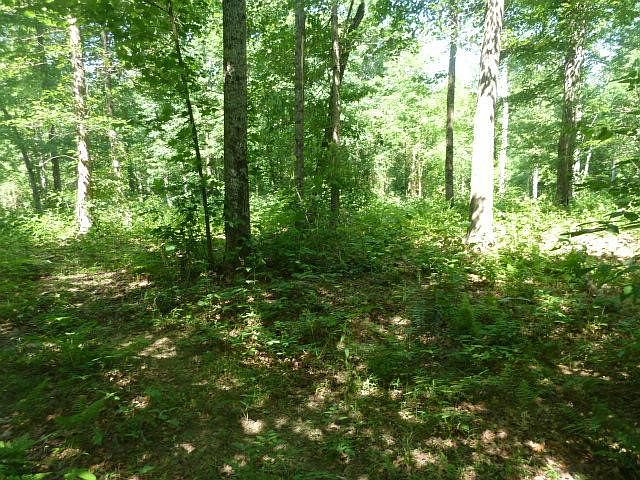 1st image of 68 Scarlet Oak Dr Lot 0