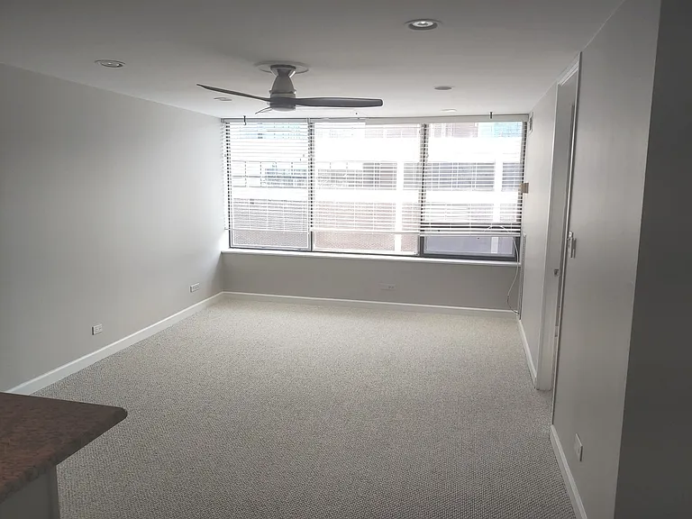 233 E Erie St #2409 — Photo 7