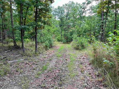 (Undisclosed Address), Marshall, AR, 72650