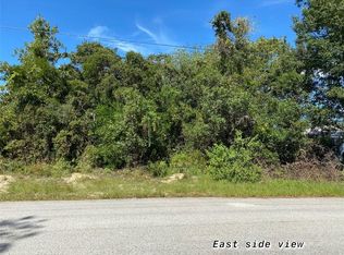 113 Cabot Ave, Spring Hill, FL 34606