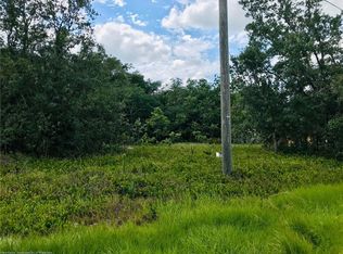 2269 N Olivia Dr, Avon Park, FL 33825