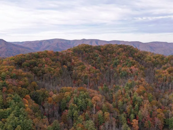 549 Gentry Mountain Rd, Flag Pond, TN 37657