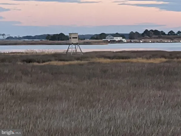 0 Goose Creek Rd, Toddville, MD 21672