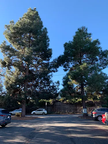 432 W Valerio St Photo 1