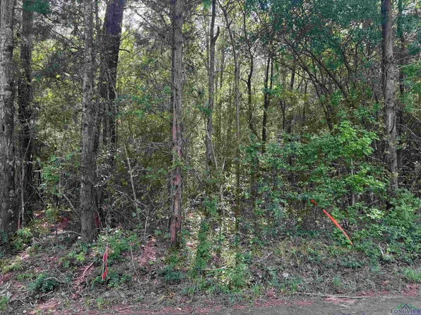 County Road 364 S, Henderson, TX 75654