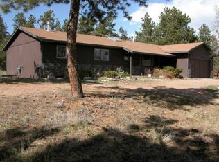 495 Gunsmoke Dr, Bailey, CO 80421