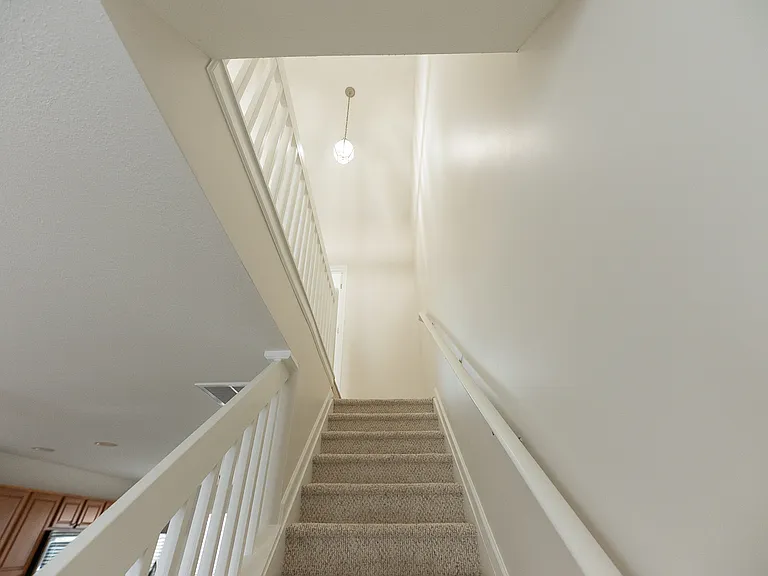306 Snowy Owl Ct — Photo 11