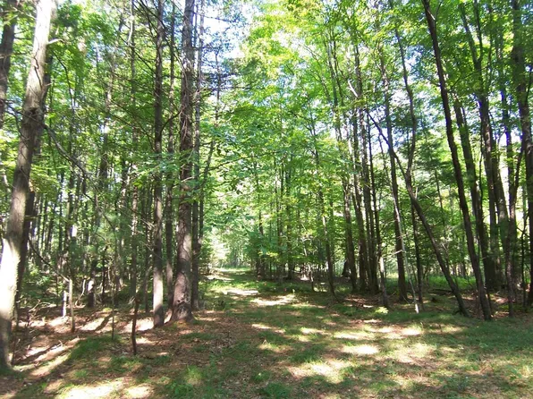 Timber Ln, Green Bay, WI 54313