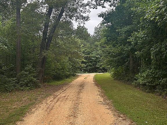 3rd image of 645 Ashley Road 28