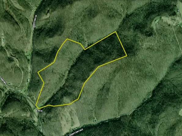 31 Selbee Branch Dr, Fort Gay, WV 25514