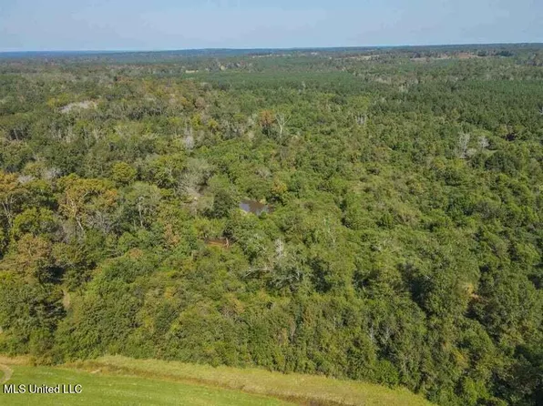 0 Highway 28, Mize, MS 39116