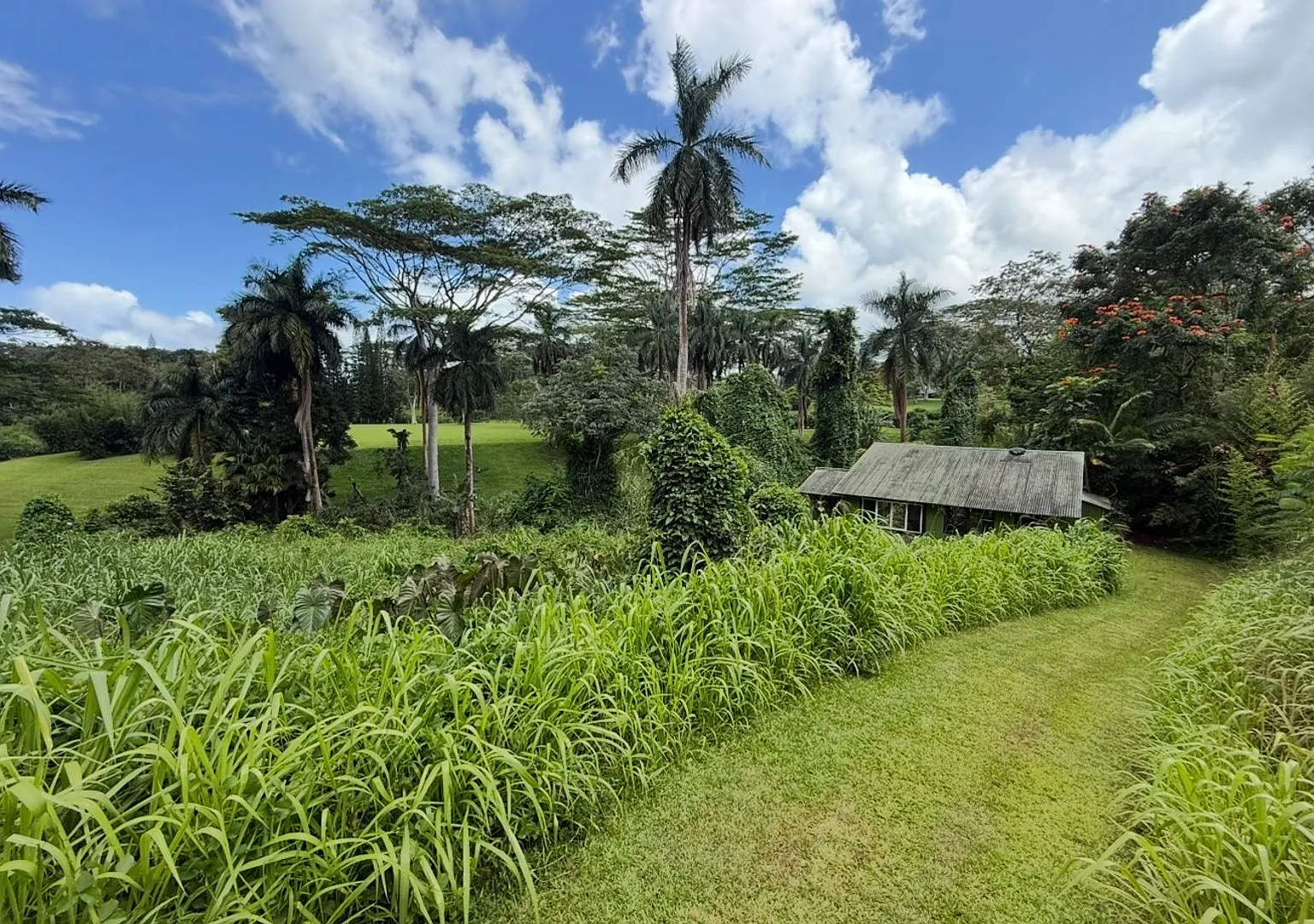 Remote riverside Kilauea cottage. — Photo 1