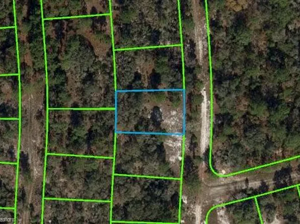 256 Blue Horizon Dr, Lake Placid, FL 33852