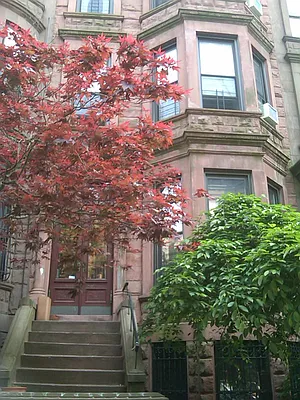 Rented by Alta Real Estate | media 27