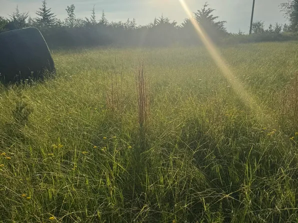 14 Lakeshore Dr, Melrose, IA 52569