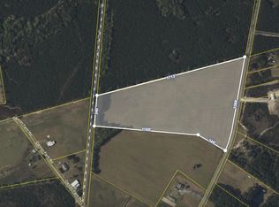 0 Morrisville Rd, Andrews, SC 29510