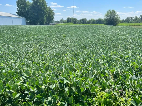 0-LOT Four Wood Rd, Rensselaer, IN 47978