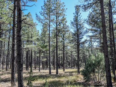 003K Birdsong Way, Lakeside, AZ, 85929