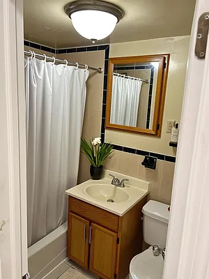 Bathroom, photo 1