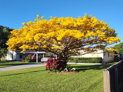 1760 Cunningham Dr, Saint Cloud, FL, 34771