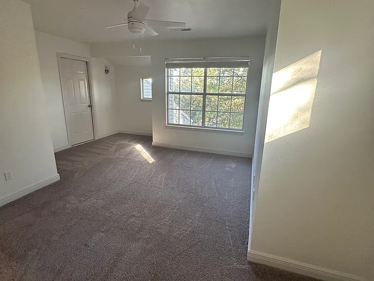 Lots of natural light in Bedroom 1