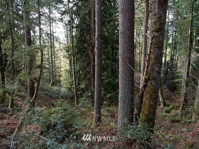 0 Lot 98 SE Mirrormont Drive photo 1