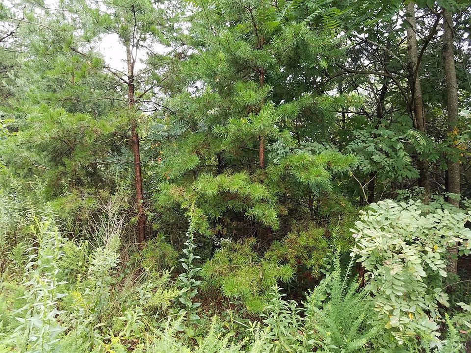 2nd image of 0 Dixie Airport Rd Lot 2