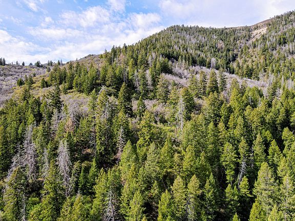 4th image of 13281 Highway 13