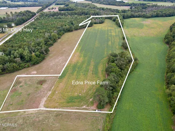 2945 Old Mt Olive Highway, Dudley, NC 28333