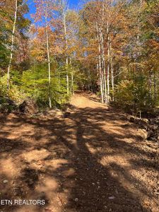 Skaggs Hollow Rd, Tazewell, TN, 37879
