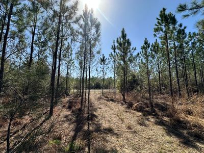 TRACT 6416 Douglas Ferry Rd, Caryville, FL, 32427