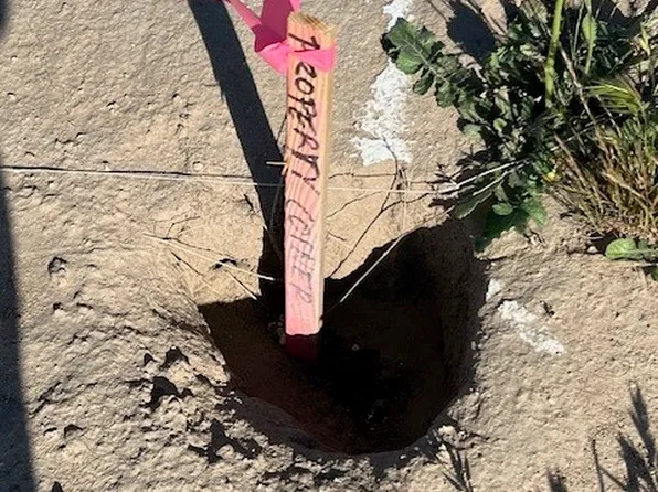 42808 Bluehills Dr #81, Lake Hughes, CA 93532