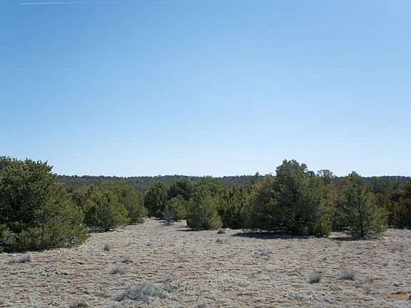 3rd image of LOT 267 Greenhorn Village Trl #1