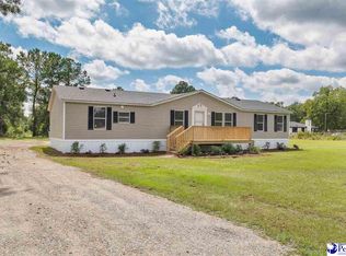 2720 Alligator Rd, Effingham, SC 29541