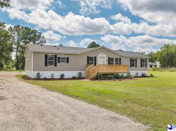 2720 Alligator Rd, Effingham, SC 29541