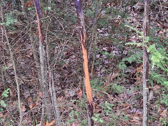 5th image of 0 Sandy Creek Rd