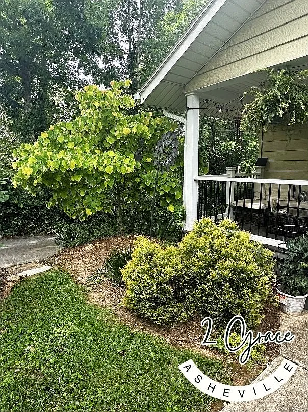2 Grace Ave — Photo 3