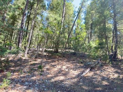 Blue Grass Dr, Cloudcroft, NM, 88317